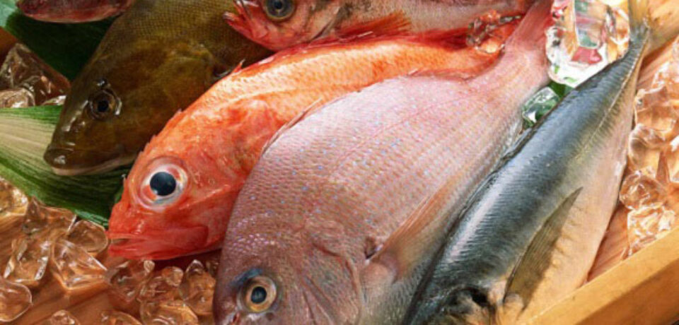 راه های تشخیص ماهی سالم از فاسد
